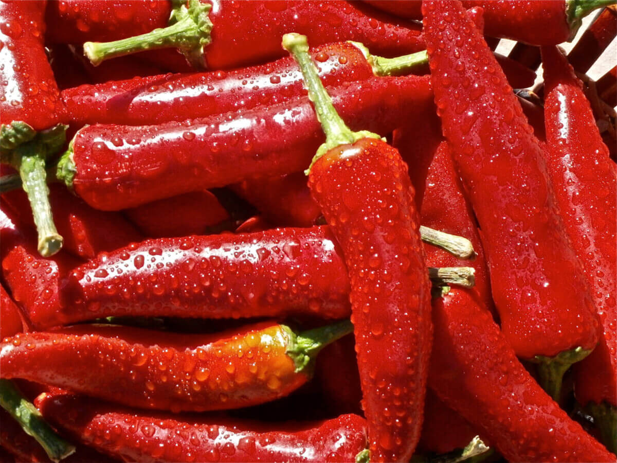 chili-peppers-close-up-red-63603