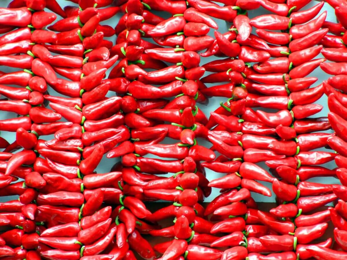 chili-color-colour-cooking-173880