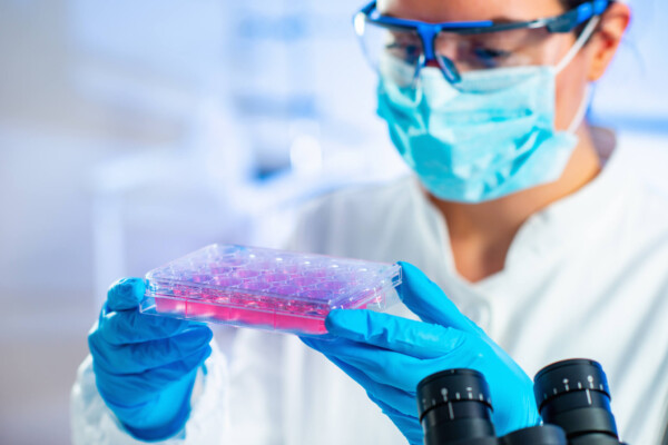 Stem cell lab researcher