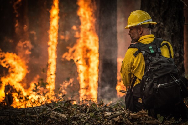 Firefighter battle wildfire, forest fire