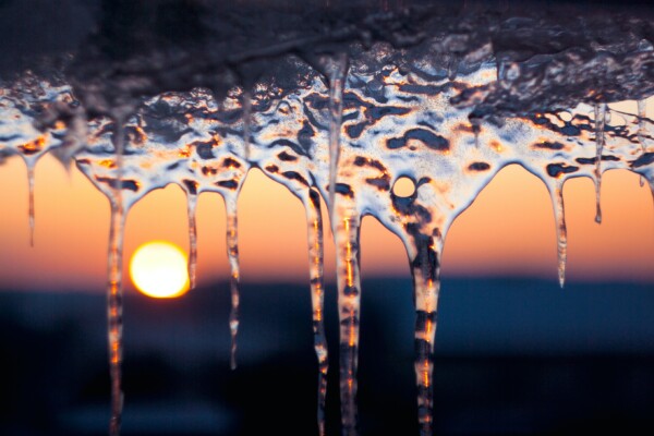 Winter sun shines through icicles