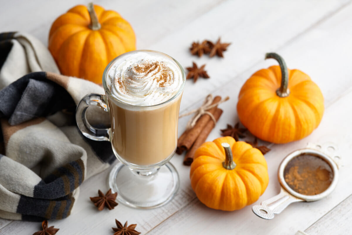 Fall pumpkin spice latte with whipped cream and cinnamon, ornamental pumpkins
