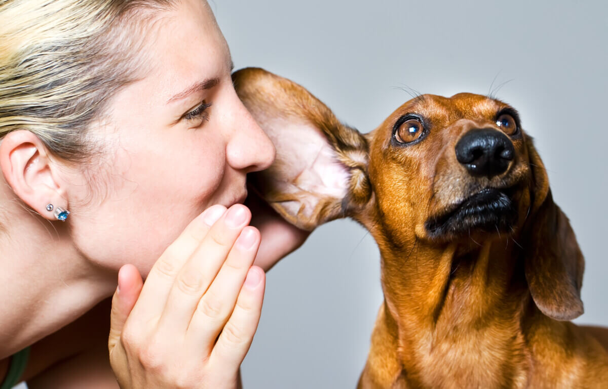 Dog owner telling secret to pet