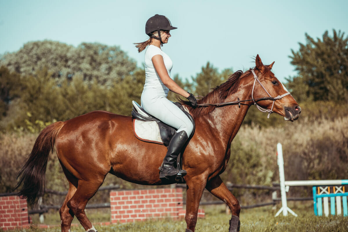 A woman jockey participates in competitions in equestrian sport, jumping.