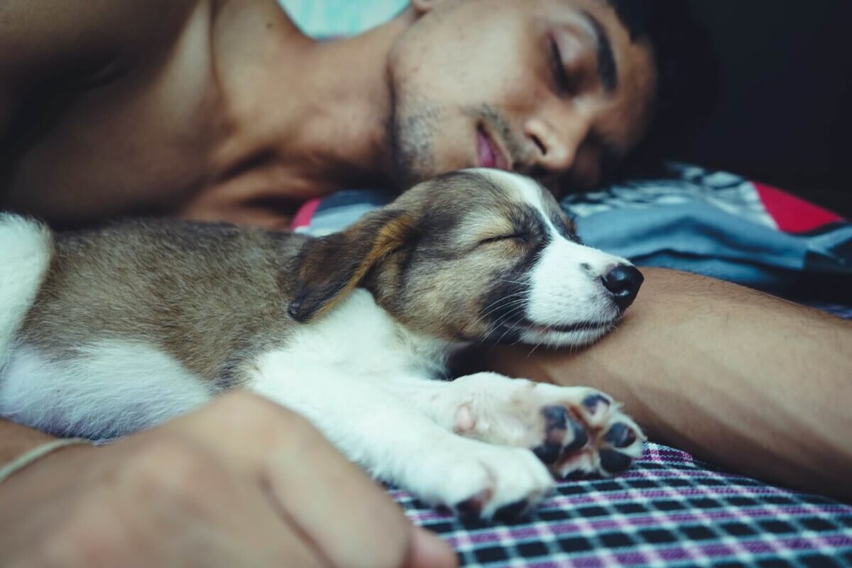 pet owner sleeping