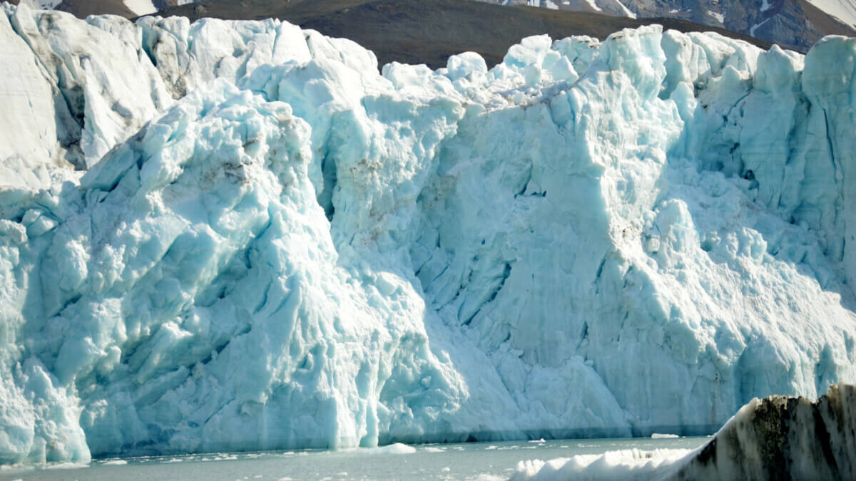 Tidewater glaciers study