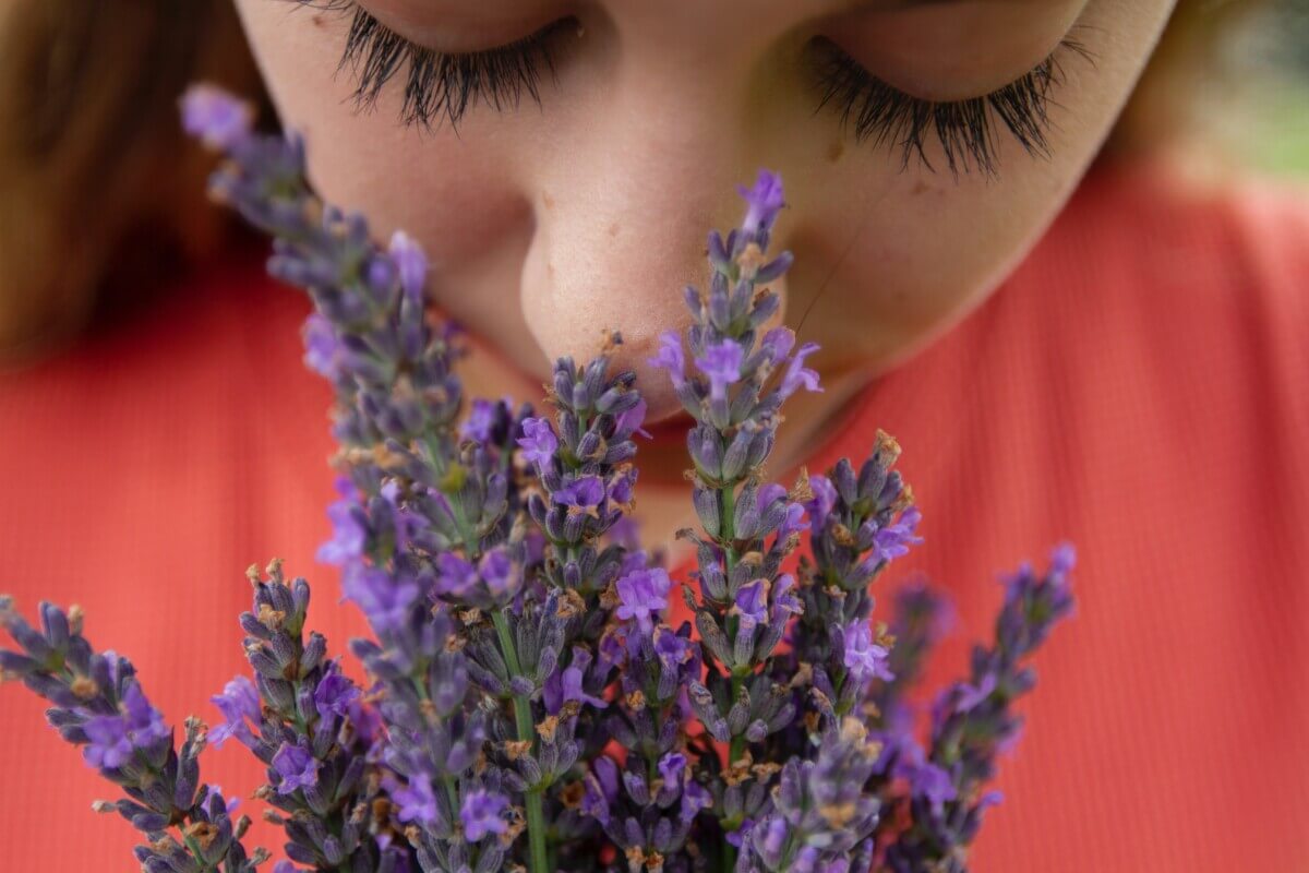 Sense of smell - flowers
