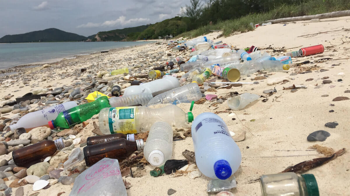 Plastics on the beach.