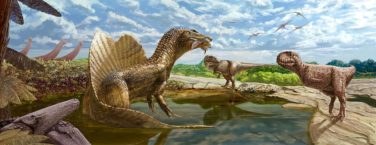 Abelisaurid discovery