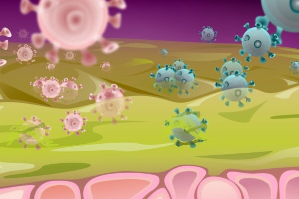 STI viruses meet mucus like gel