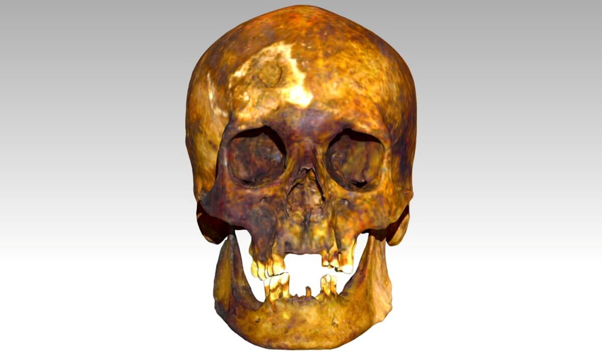 3D scan of skull of John Barber.