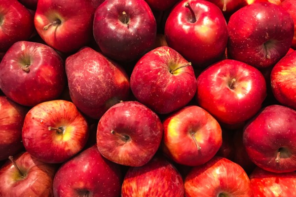 Red Delicious Apples are one of the best apples to eat, according to experts.