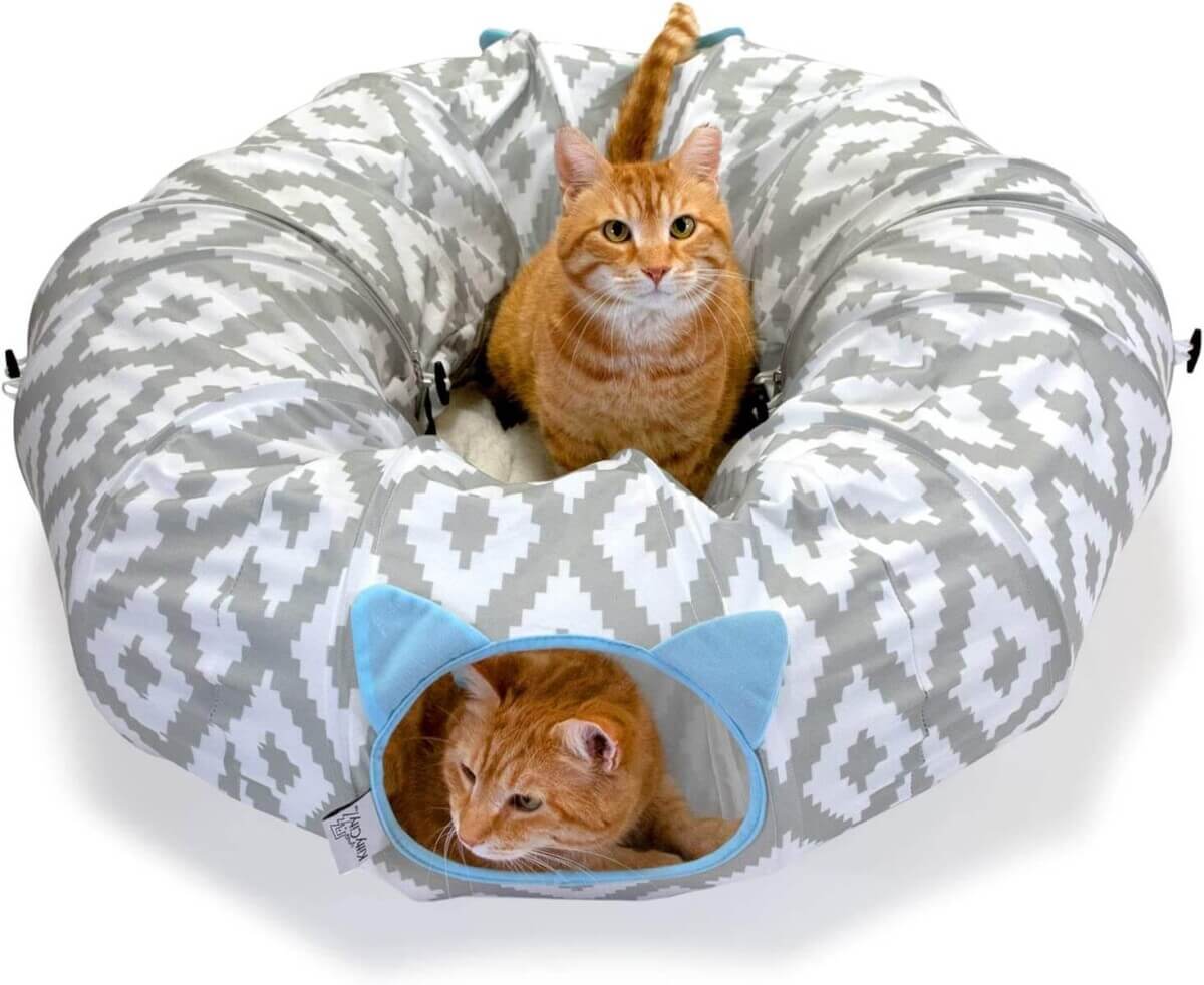 cat bed with a tunnel on the outside