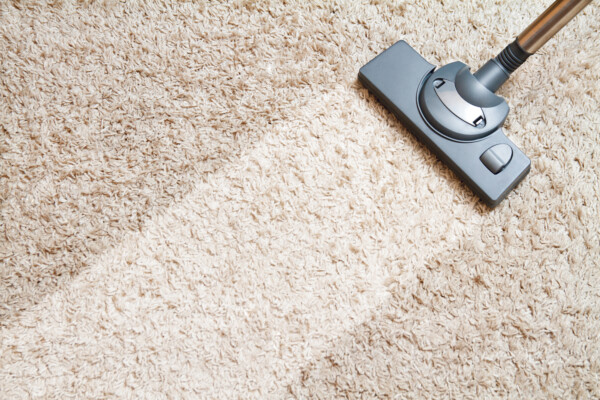 Carpet cleaner put to the test