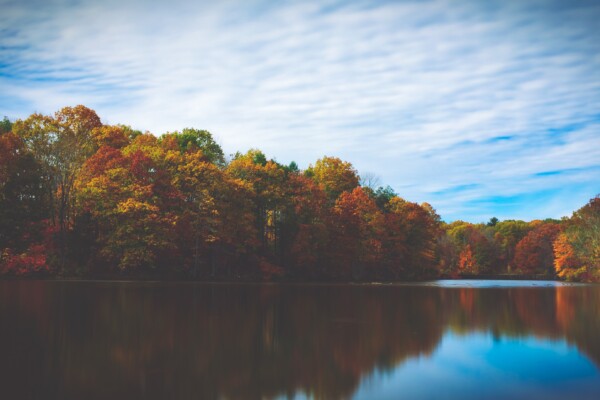 Fall foliage in Princeton