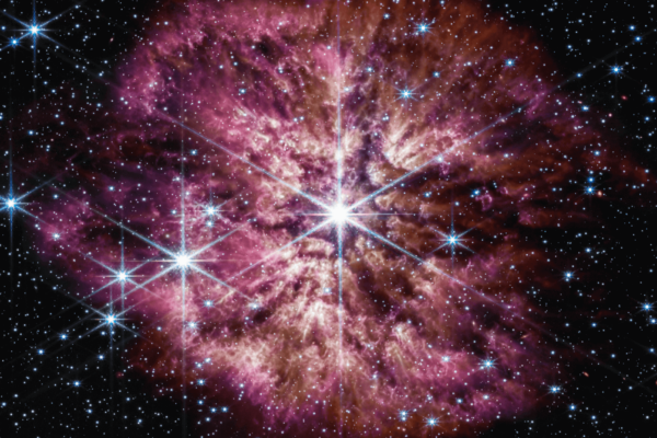 The luminous, hot star Wolf-Rayet 124