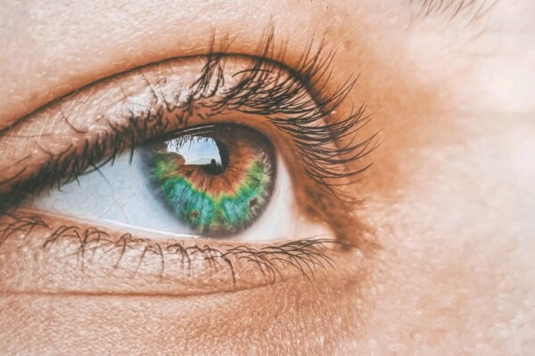 Close up of woman's eye and eyelashes
