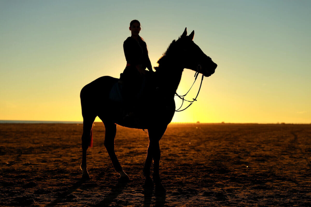 silhouette of person riding horse