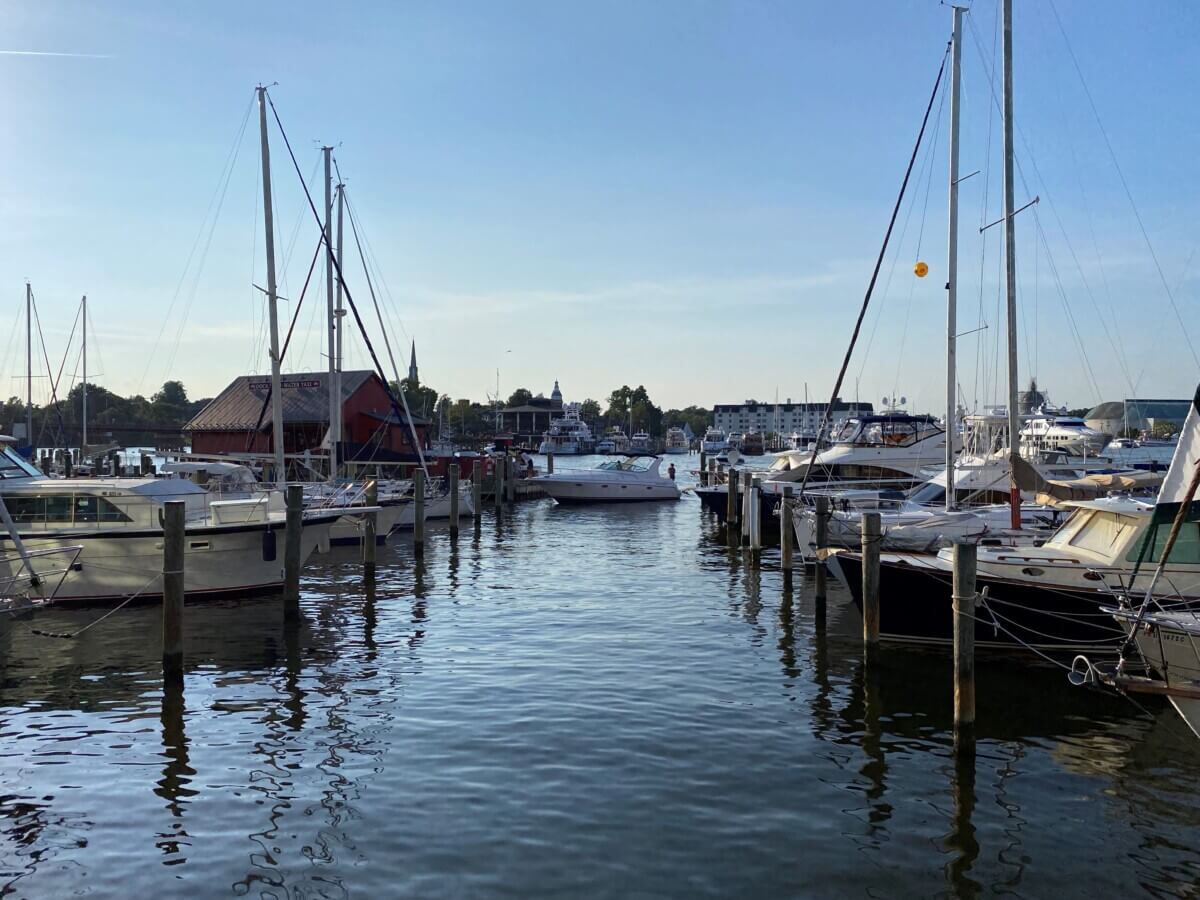 Annapolis's harbor