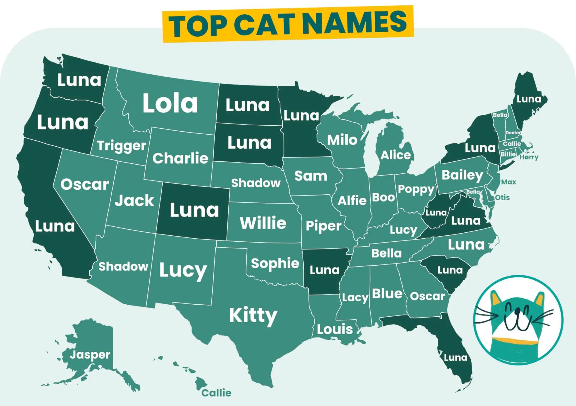 Cat names by state
