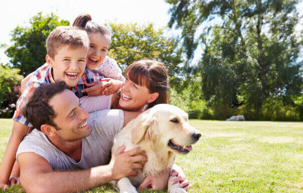 Family-laughing-and-playing-with-dog-604×385