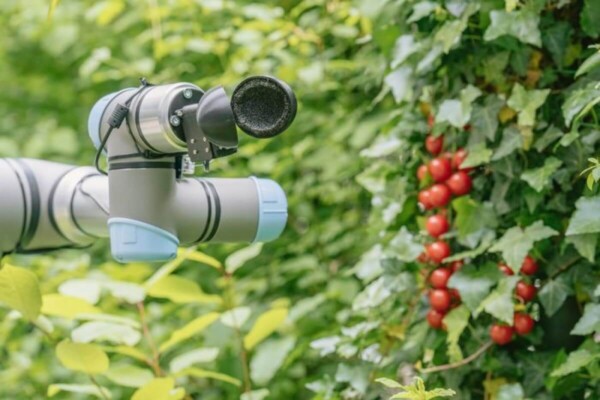 Robot crop picker created using AI