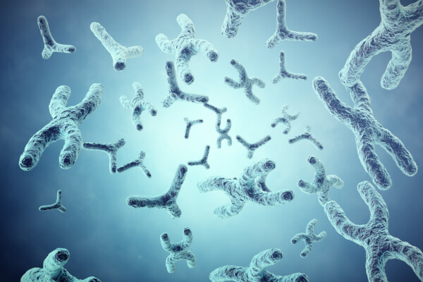 Xy-chromosomes