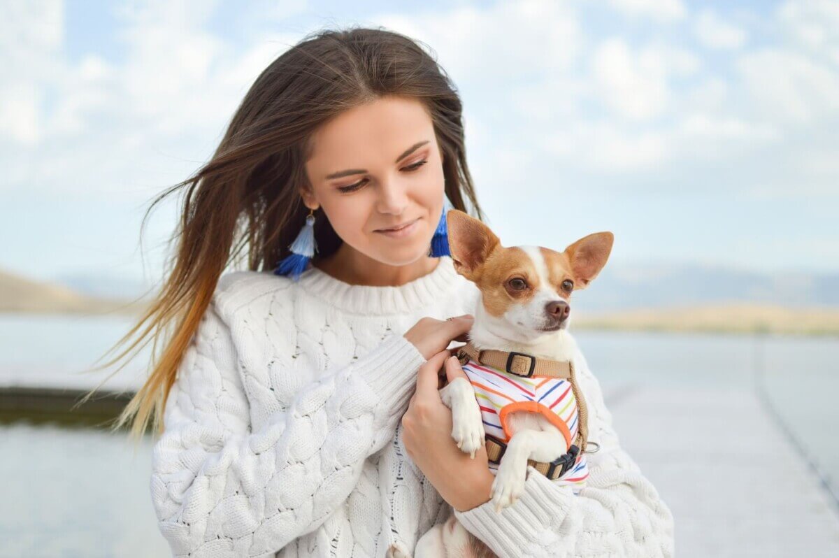 Chihuahua with Owner (Photo by Tamara Bellis on Unsplash)