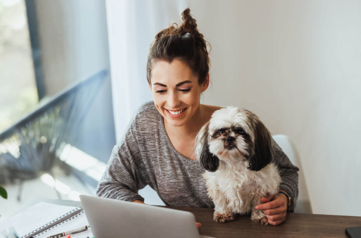A woman working with her Shih Tzu on her lap