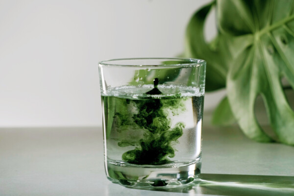 Chlorophyll extract is poured in water