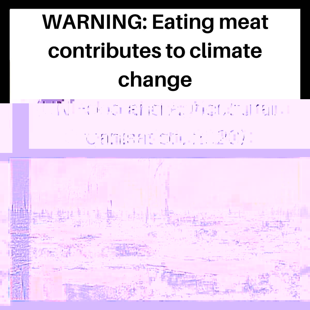 The climate warning label showing an image of a deforested area with factory smoke in the distance and the warning text - WARNING: Eating meat contributes to climate change (UN Food and Agricultural Organisation, 2020).
