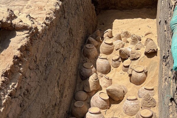 5,000-year-old wine jars in the tomb of Queen Meret-Neith in Abydos during the excavation. The jars are in their original context and some of them are still sealed.