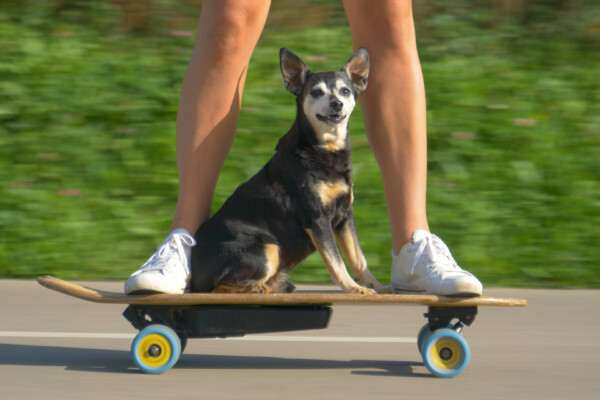 Someone riding an electric skateboard with their dog