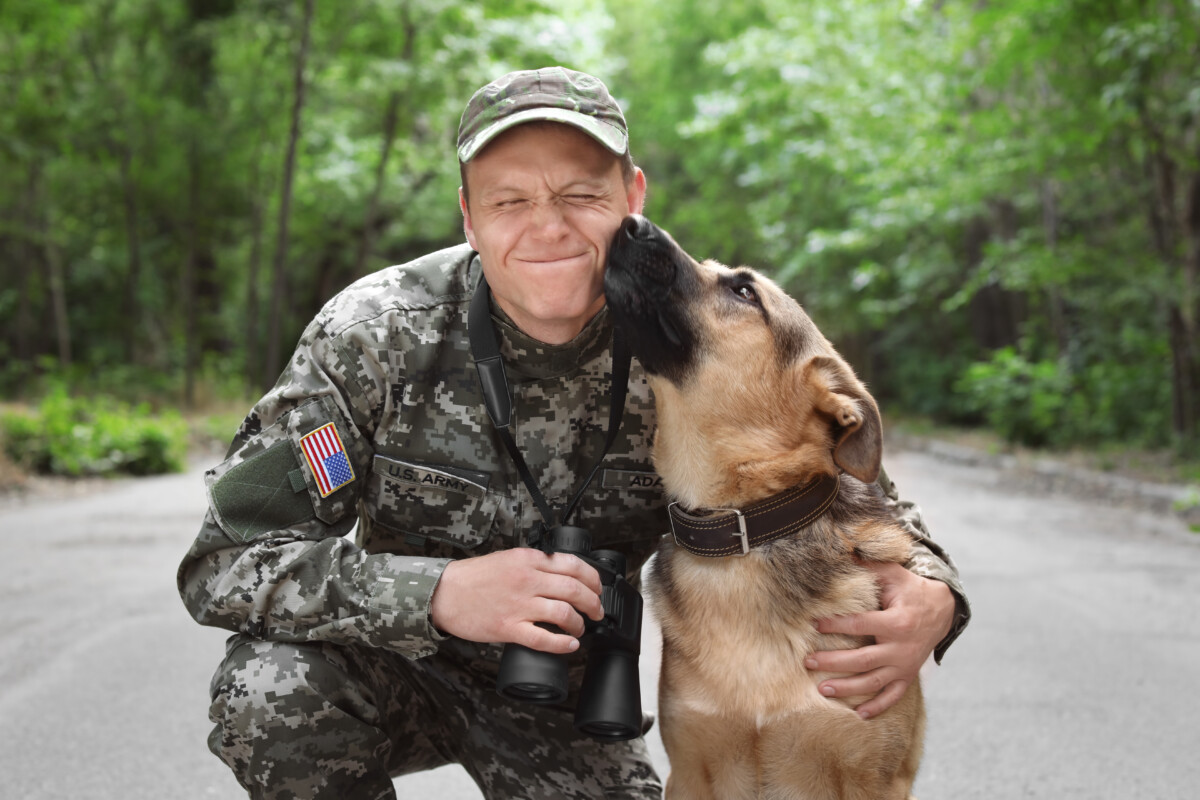 A veteran and a German Shepherd