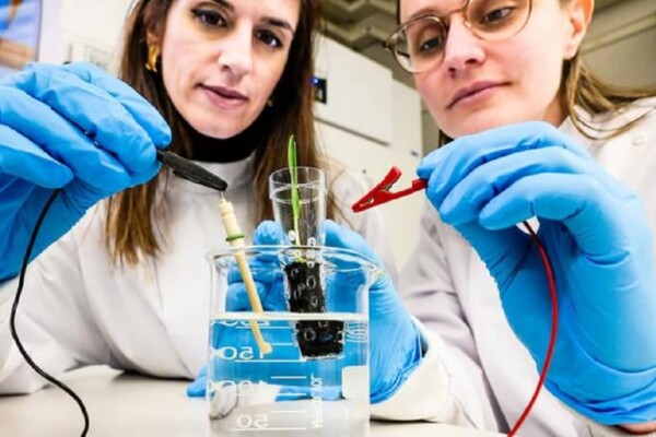Eleni Stavrinidou, associate professor, and supervisor of the study and Alexandra Sandéhn, PhD student, one of the lead authors, connect the eSoil to a low power source for stimulating plant growth.