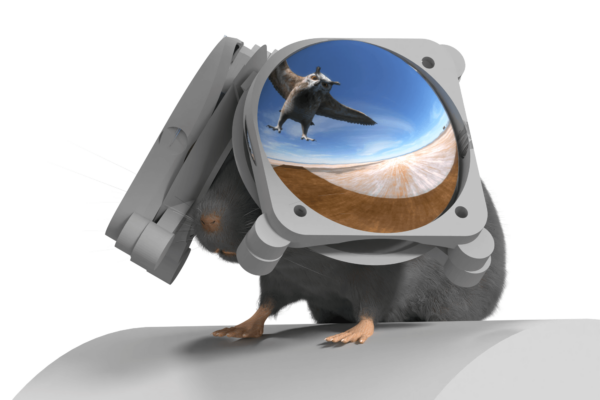 Mice goggle illustration shows the VR setup, with an "overhead threat" projected into the top field of view.