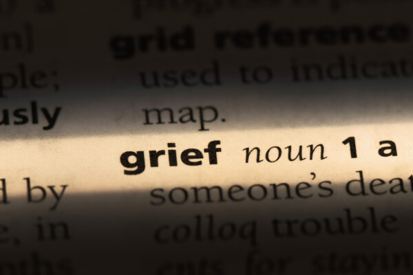"Grief" in the dictionary