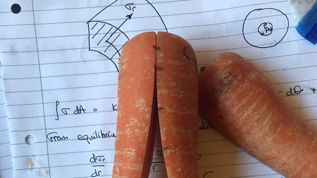 curled carrot