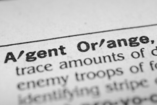 Agent Orange in dictionary
