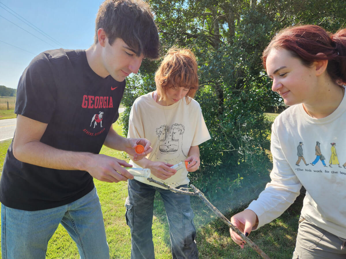 Co-authors of the study Kade Stewart, Caitlin Phelan and Alexa Schultz handle a Joro spider