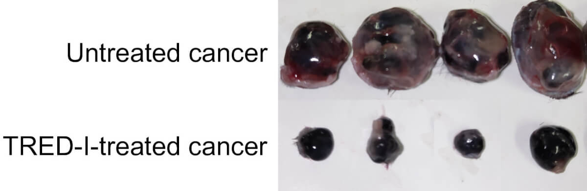 comparing cancerous tumors treated with the TRED-I system