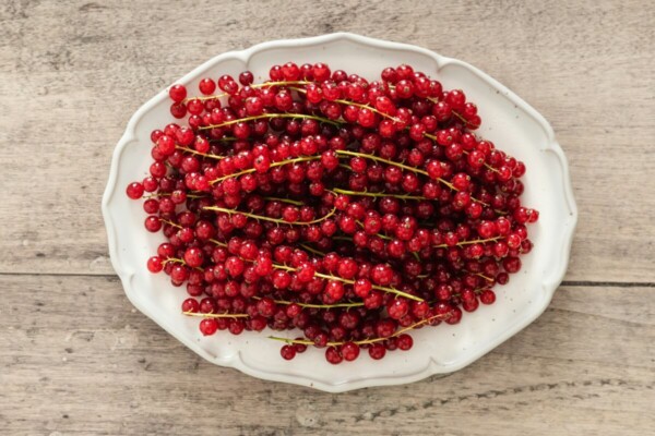 Cranberries on a plate