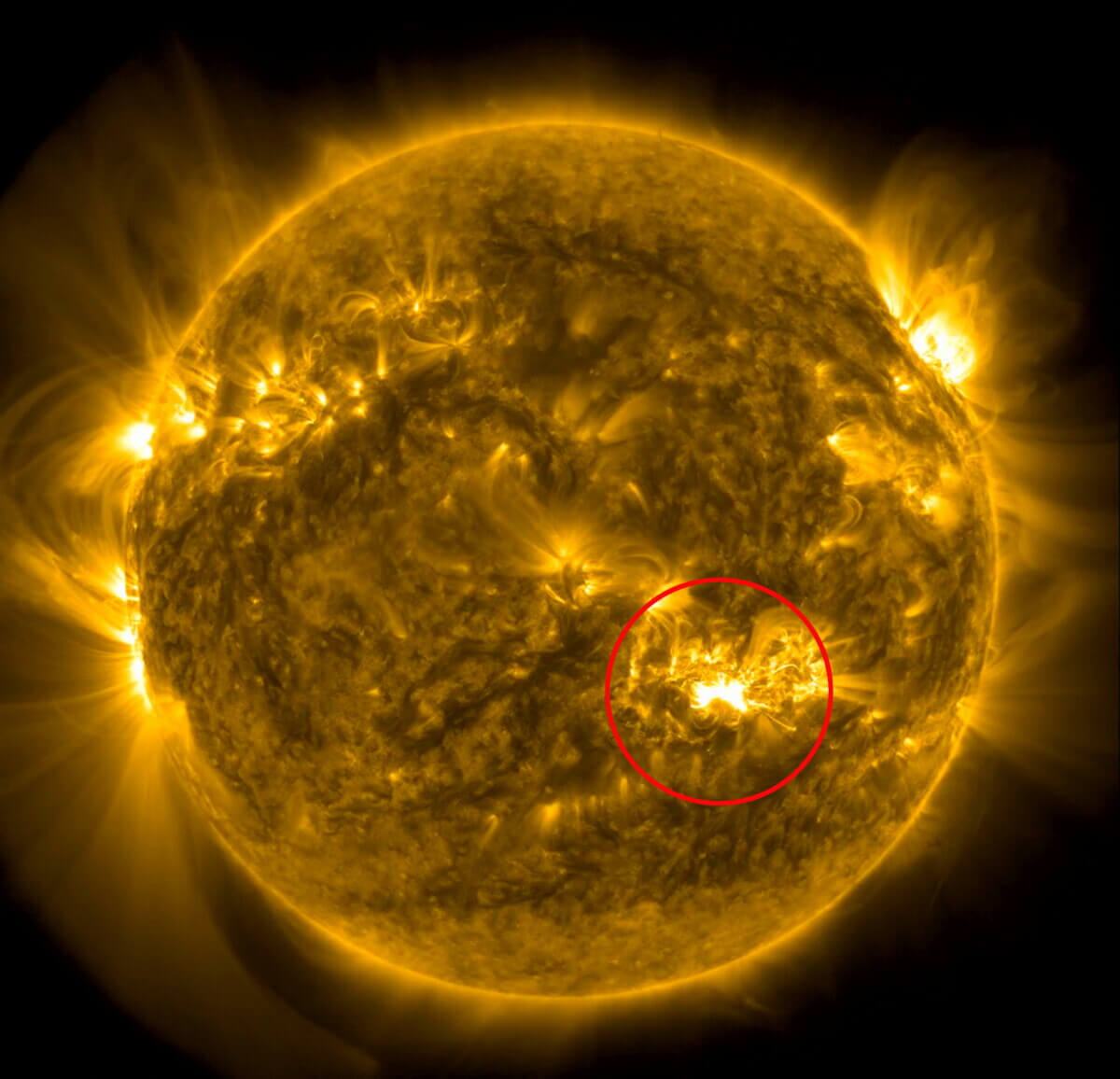 Massive Sunspot