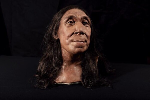 The recreated head of Shanidar Z, made by the Kennis brothers for the Netflix documentary ‘Secrets of the Neanderthals’ based on 3D scans of the reconstructed skull.