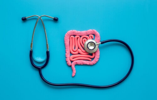 Gut health: Stethoscope on digestive tract