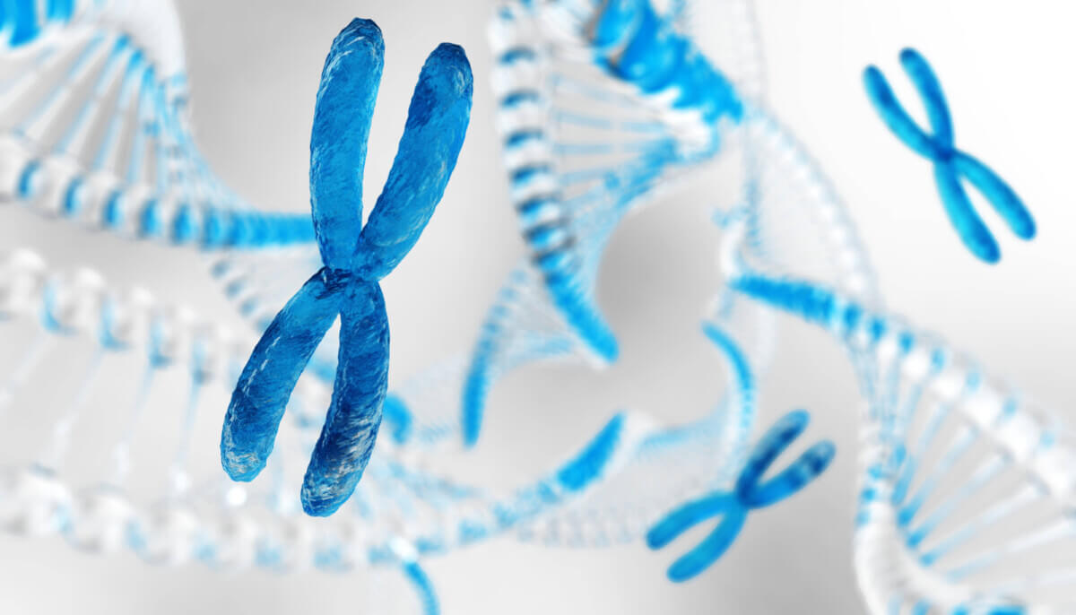 X chromosome against the background of DNA.